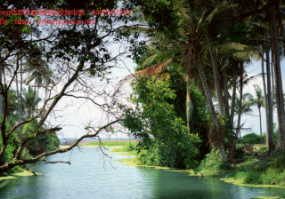 Uber中国员工：keep推广从来没觉得自己输给过滴滴