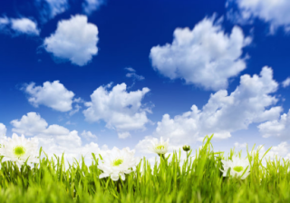 领英广告推广——销售线索表格