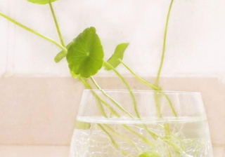 知乎跑美妆广告怎么做？开户流程有哪些？