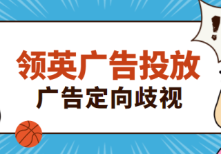 LinkedIn广告投放——广告定向歧视