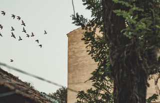 知乎广告怎么做？知乎跑母婴产品成本是多少？