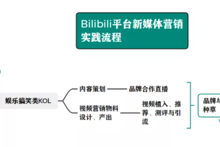 哔哩哔哩平台是怎样推广营销？