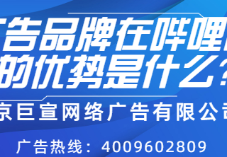宠物品牌营销怎样在哔哩哔哩实现推广转化？