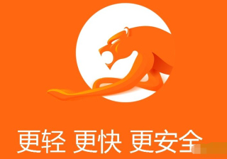 2019年猎豹浏览器投放趋势在哪里？奖品在哪，我来告诉你~