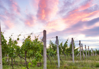 喜马拉雅推广投放技巧有哪些？喜马拉雅推广优惠活动有哪些形式？