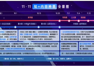 电商行业在知乎平台投放广告的策略有哪些？