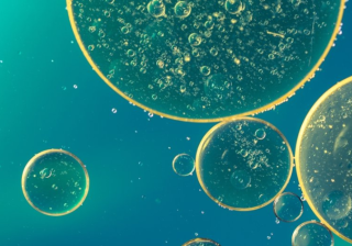 爱奇艺现在跑零售业返点多少？爱奇艺现在跑汽车美容效果怎么样？