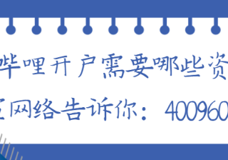 哪些品牌应该在哔哩哔哩上做推广投资？