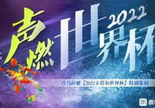 如何把握世界杯营销？