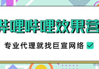 哔哩哔哩的效果营销相关介绍