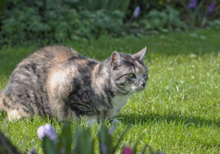 优酷广告开户流程有哪些？优酷开户客服电话是多少？