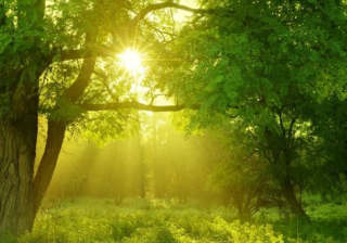 YouTube跑玩具广告投放技巧有哪些？怎样收费？