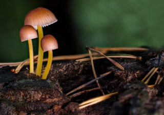 YouTube现在跑兼职成本多少？YouTube跑插座广告怎么做？