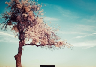 微信广告怎么投放?广告怎么做？