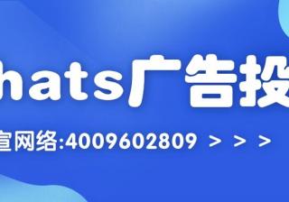 whats广告怎么投放?效果好不好？—whats广告投放