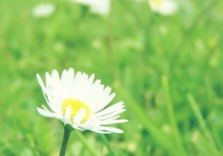 快手短视频广告流程有哪些？快手短视频广告价格是多少？