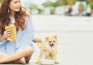 浅析快手广告运营宠物相关视频账号，提升推广效果