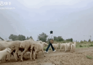 圈粉500万的噶羊少女，竟然还有个小号？