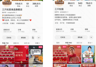 国民坚果品牌三只松鼠 | 快手电商推广平台