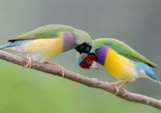 360怎么投放广告？360跑加粉效果好不好？