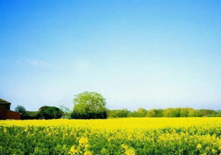 西安360广告代理商有多少？360搜索开户投放技巧有哪些？