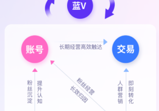 快手广告投放：蓝V经营新生意