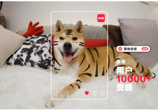 2022.小红书的广告推广密码