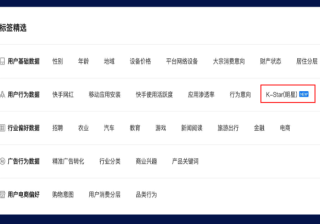 提升快手广告后期转化效率的策略有哪些？