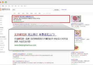 搜狗搜索广告推广的广告样式，搜狗推广客服