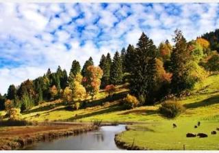 淘宝违规行为分哪两种类型（淘宝新手常见的违规行为）