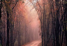 攻略！百度搜索广告最常见4种疑难问题解答