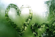 新浪广告的推广的案例有哪些？