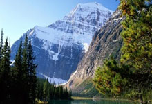 亚马逊电商怎么做产品图片（亚马逊图片设计思路）