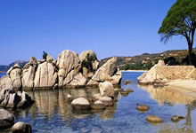 美柚推广开户为2亿女性建立“她的国” ，以“合力”深挖女性市场价值