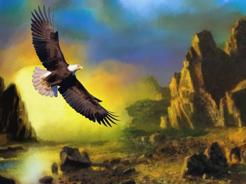 小红书广告跑剃须刀广告下单成本多少?小红书多少钱开户? 小红书广告跑剃须刀广告下单成本多少?小红书多少钱开户?