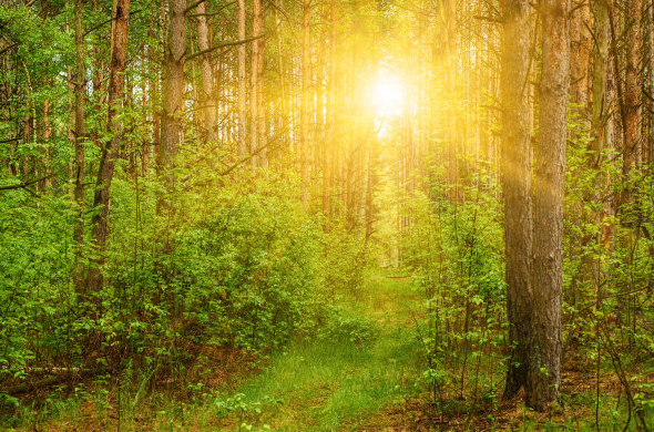 小红书推广怎么做?小红书开户怎么收费? 小红书推广怎么做?小红书开户怎么收费?