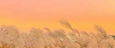 小红书广告投放服装有哪些技巧?信息流开户怎么收费? 小红书广告投放服装有哪些技巧?信息流开户怎么收费?