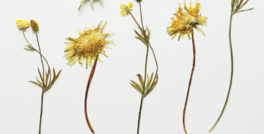 小红书信息流开户价格是多少?小红书信息流开户投放技巧有哪些? 小红书信息流开户价格是多少?小红书信息流开户投放技巧有哪些?