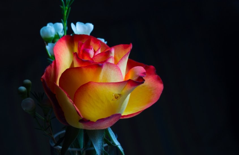 二类电商跑快手广告优势有哪些?电商扩张快手升级还要上市?