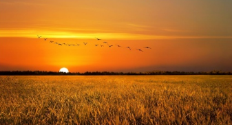 快手短视频开户怎么做？价格是多少？