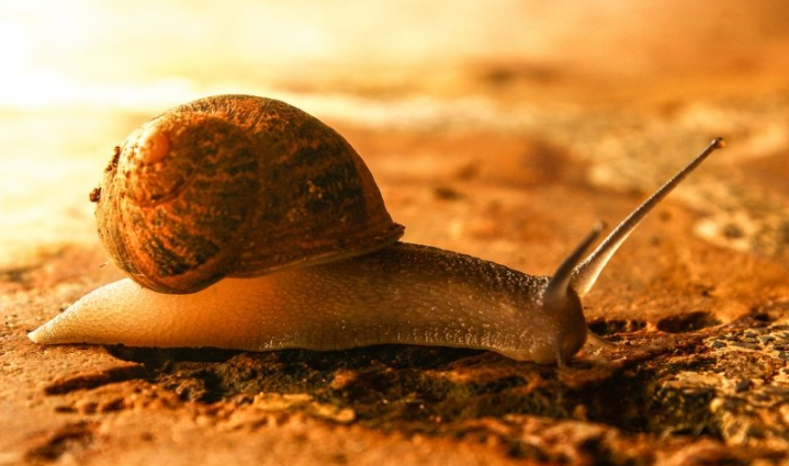 快手广告政策有哪些?快手现在跑假发成本需要多少钱呢? 快手广告政策有哪些?快手现在跑假发成本需要多少钱呢?