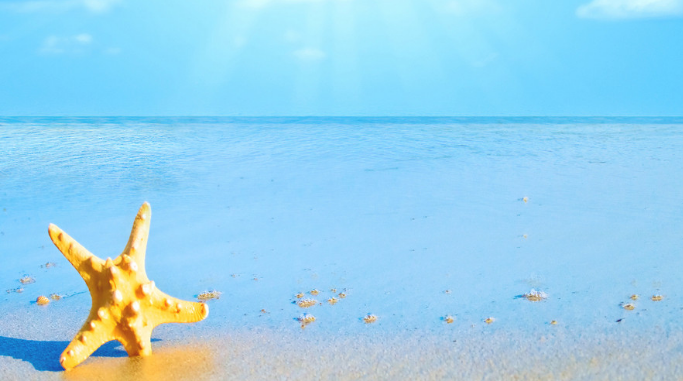 快手推广投放手机配件广告有哪些技巧？推广案例有哪些？