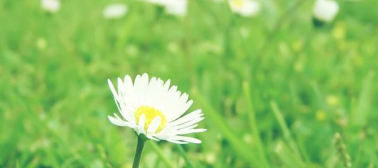 快手短视频广告流程有哪些?快手短视频广告价格是多少? 快手短视频广告流程有哪些?快手短视频广告价格是多少?