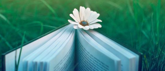 快手短视频广告流程有哪些?快手短视频广告价格是多少? 快手短视频广告流程有哪些?快手短视频广告价格是多少?