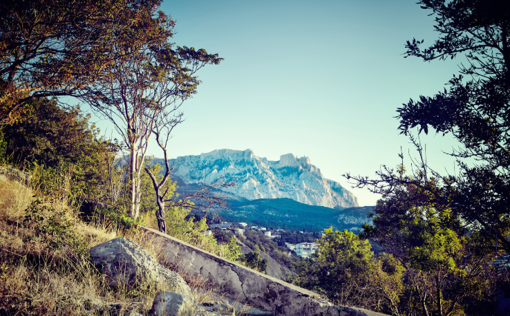 快手投放信息流广告怎么样?怎么选择? 快手投放信息流广告怎么样?怎么选择?