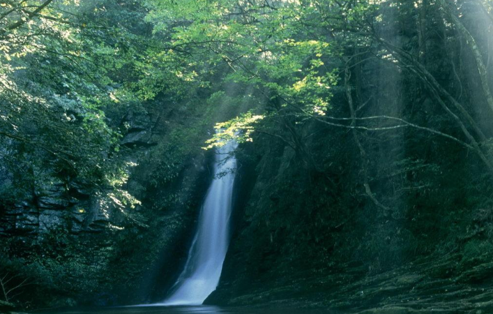 快手广告如何推广自己产品?有哪些注意事项? 快手广告如何推广自己产品?有哪些注意事项?