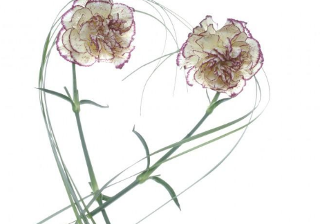 百度信息流广告怎么收费?百度广告网站。 百度信息流广告怎么收费?百度广告网站。