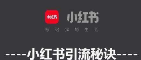 怎么通过小红书推广平台快速涨粉引流介绍以及注意事项 怎么通过小红书推广平台快速涨粉引流介绍以及注意事项
