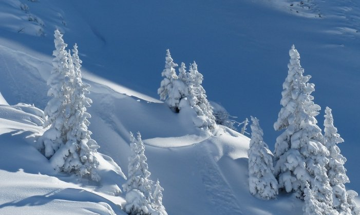 小红书信息流广告账户如何开通？小红书信息流开户有什么投放技巧？