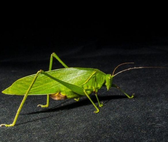 360跑金融返点多少?360广告优惠活动有哪些? 360跑金融返点多少?360广告优惠活动有哪些?